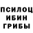 Галлюциногенные грибы GOLDEN TEACHER Radii Yusup