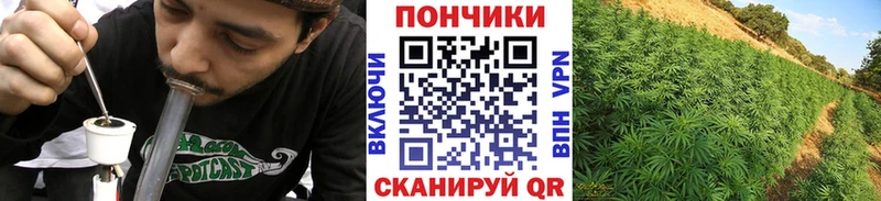 Бошки марихуана AK-47  Чердынь 